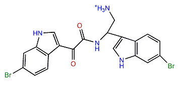 3,4-seco-Hamacanthin A